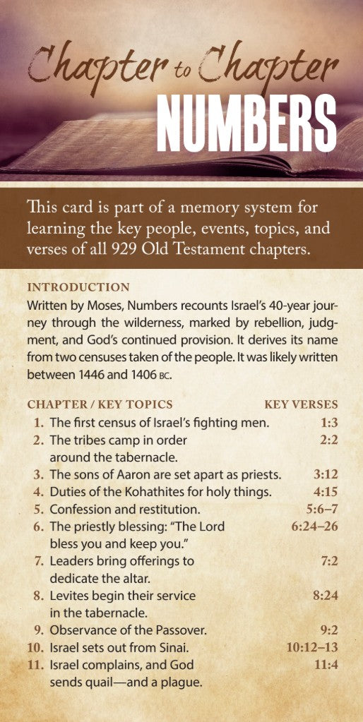 Chapter to Chapter - Numbers (Pack of 10) Info-Cards or Oversize ...
