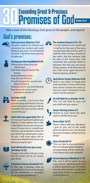 30 Exceeding Great and Precious Promises of God (Pack of 10) Info-Cards or Oversize Bookmarks - Glad Tidings Publishing