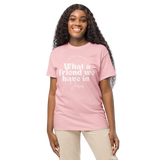 What a Friend We Have in Jesus - Pink DryBlend® T-Shirt