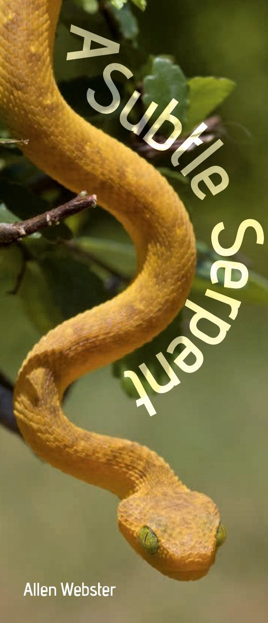 A Subtle Serpent (Pack of 10) - Glad Tidings Publishing