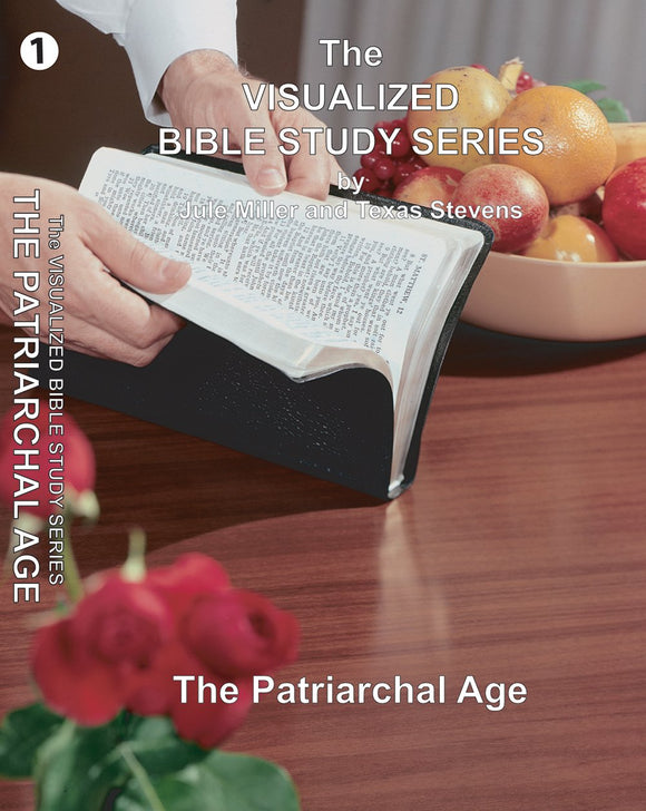 VBSS Visualized Bible Study Series Disc 1 The Patriarchal Age - Glad Tidings Publishing