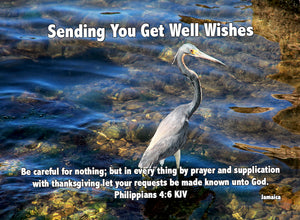 Compassion Card - Get Well (10 ct) - Glad Tidings Publishing