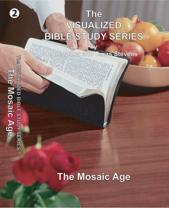 VBSS Visualized Bible Study Series Disc 2 The Mosaic Age - Glad Tidings Publishing